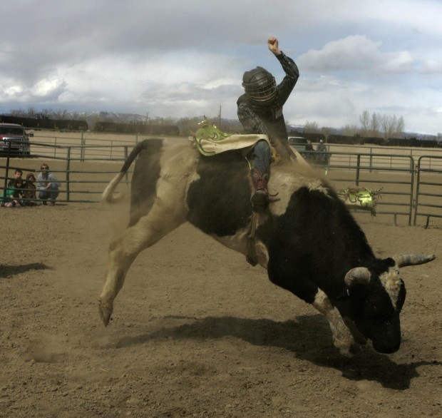 Mini Bull Riding